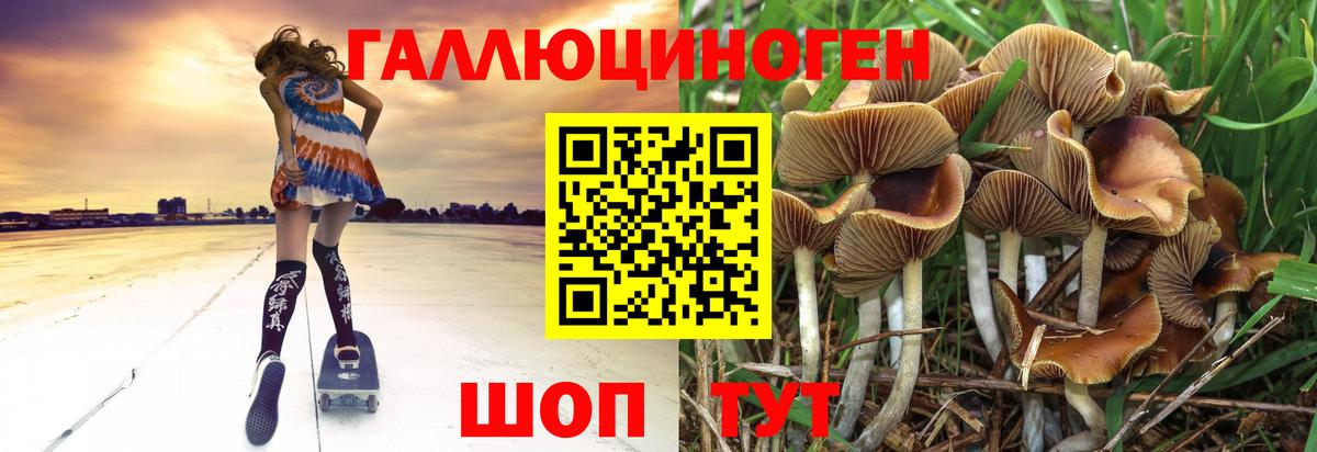 Галлюциногенные грибы GOLDEN TEACHER Сосновый Бор